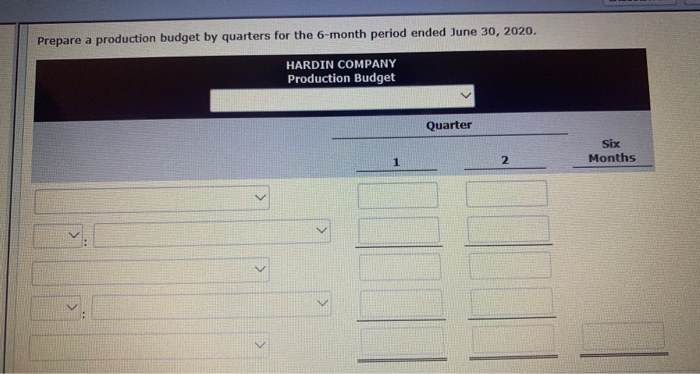 January 1, 2020, the Hardin Company budget committee has reached agreement on