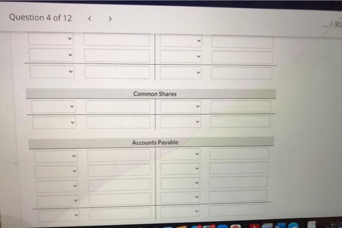 In the Grouper Golf Shop Limited showed Cash $4,000: Inventory $18,720. Common