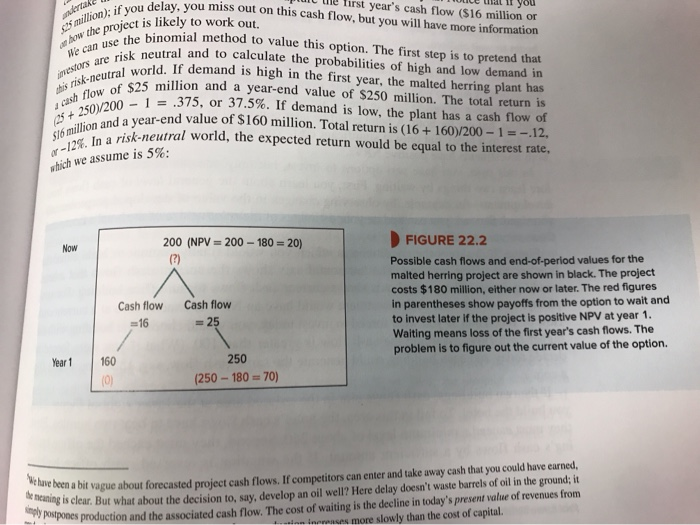 22.2. How does the value in 1982 of the option to invest