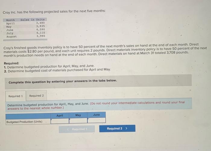  pls help! :) 2 requirements for this question Croy Inc. has