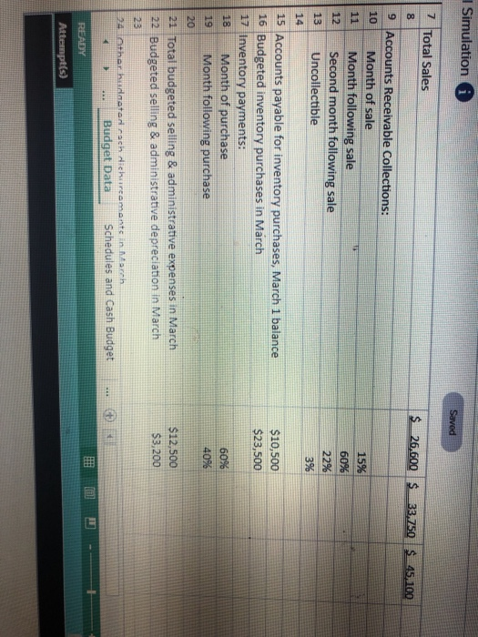 and the related Schedules for Expected cash collections and Payments to suppliers.