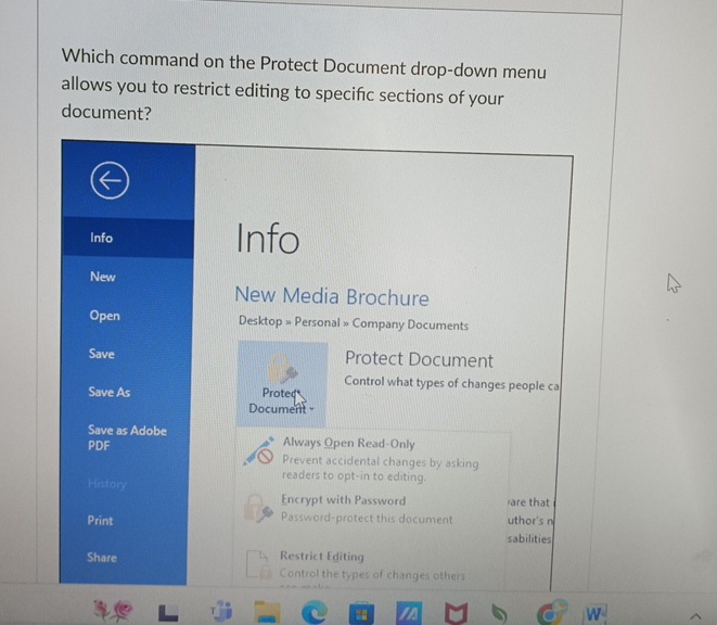  Which command on the Protect Document drop-down menu allows you to