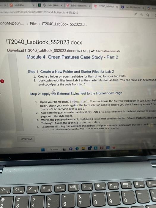 please give me full html/css words to co put and paste IT2040_LabBook_SS2023.docx