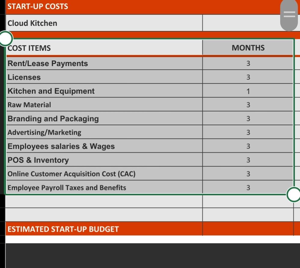 for 3 months COST ITEMS MONTHS Rent/Lease Payments - 3 months Licenses