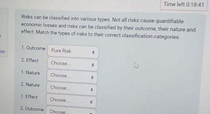  Risks can be classified into various types. Not all risks cause