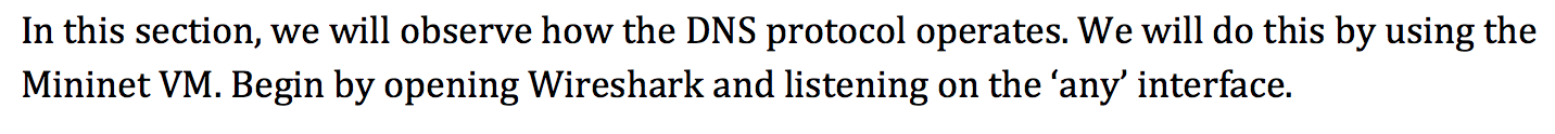  In this section, we will observe how the DNS protocol operates.