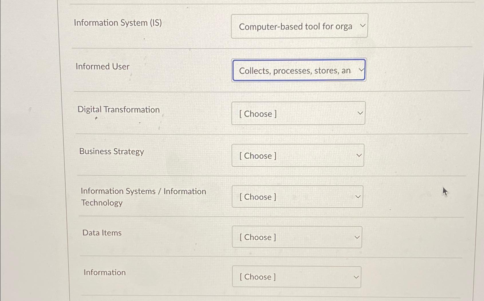  Information System (IS) Informed User Digital Transformation Business Strategy Information Systems