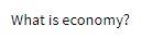 What is economy
