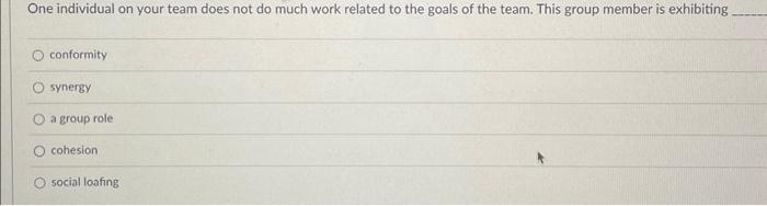  One individual on your team does not do much work related