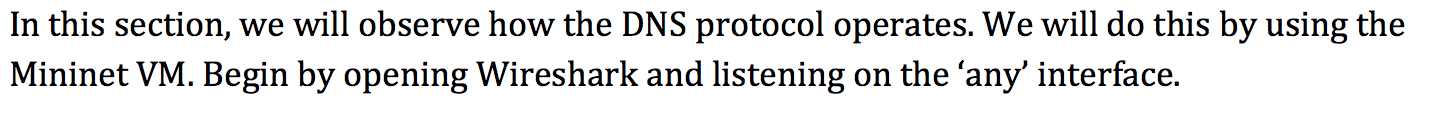  In this section, we will observe how the DNS protocol operates.