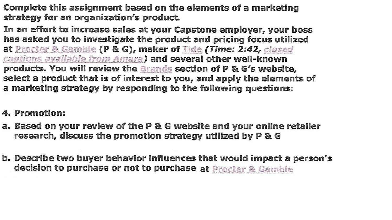 Complete this assignment based on the elements of a marketing strategy
