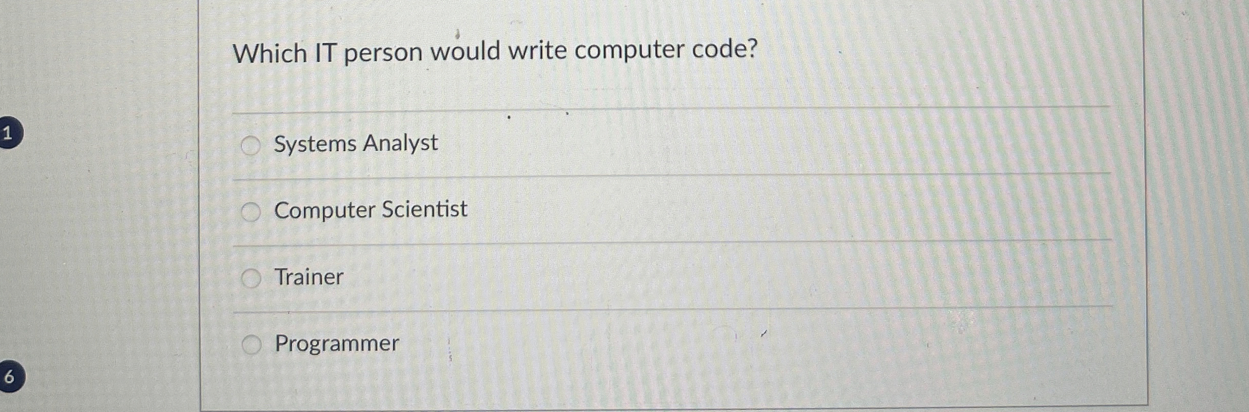  Which IT person would write computer code? 1 Systems Analyst Computer