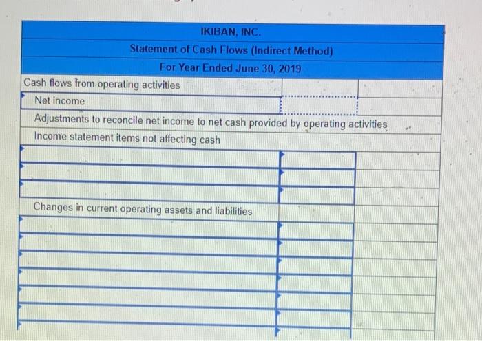 financial statements and additional information are reported. IKIBAN INC. Comparative Balance Sheets