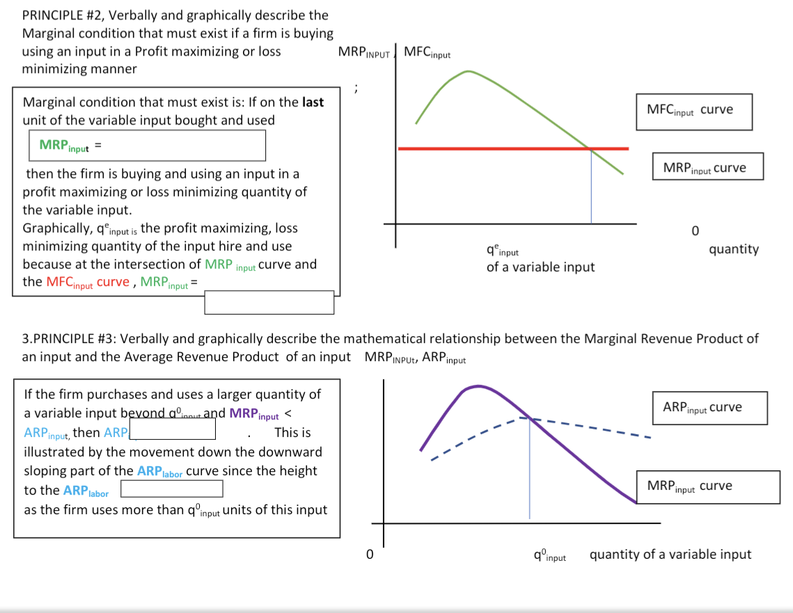  please answer both 2&3. PRINCIPLE \#2, Verbally and graphically describe the
