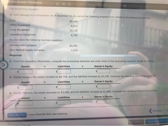  1010 Module 1 Problems The Accounting Equation Dr. John Salvaggi is