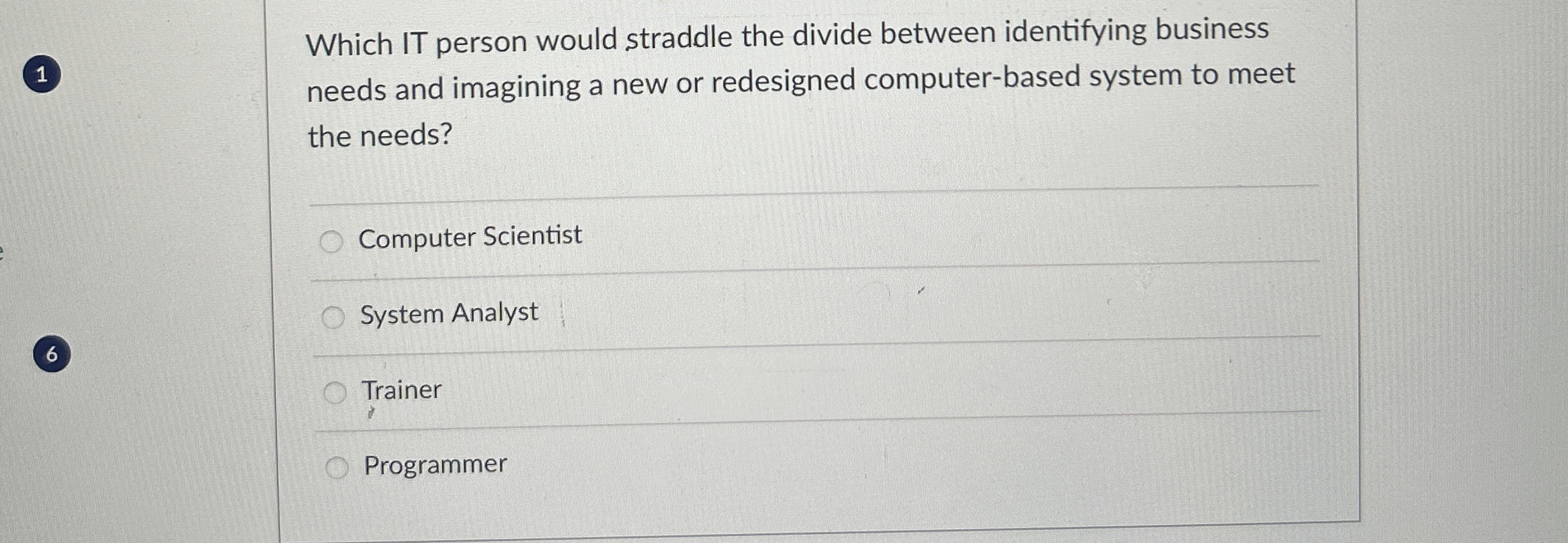  1 Which IT person would straddle the divide between identifying business