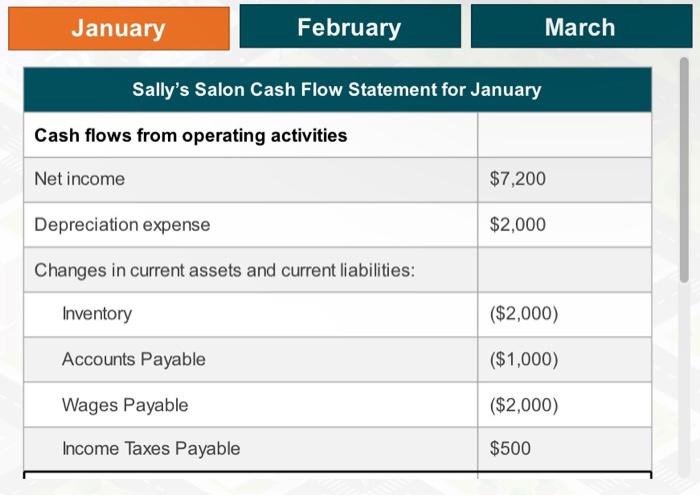  According to Sally's cash flow statement, how well would you say