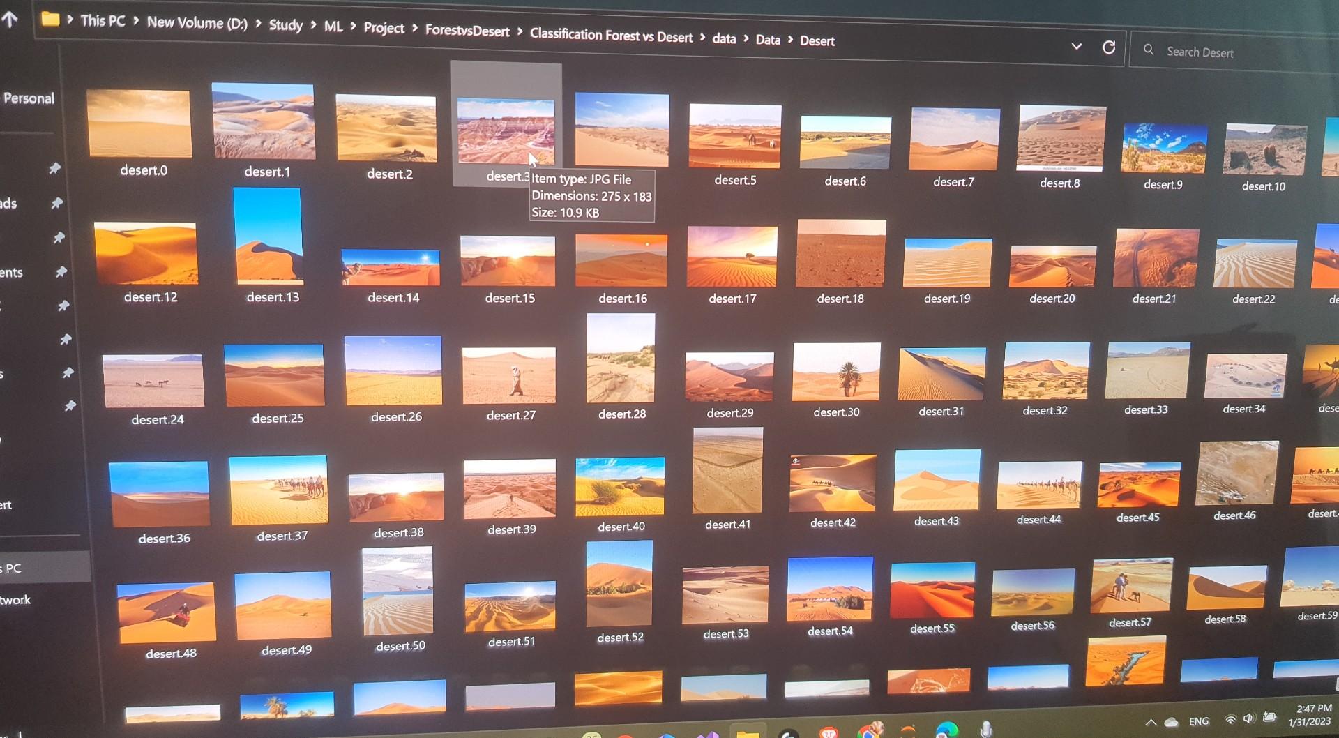that classifies between two sets of images - forest and desert The