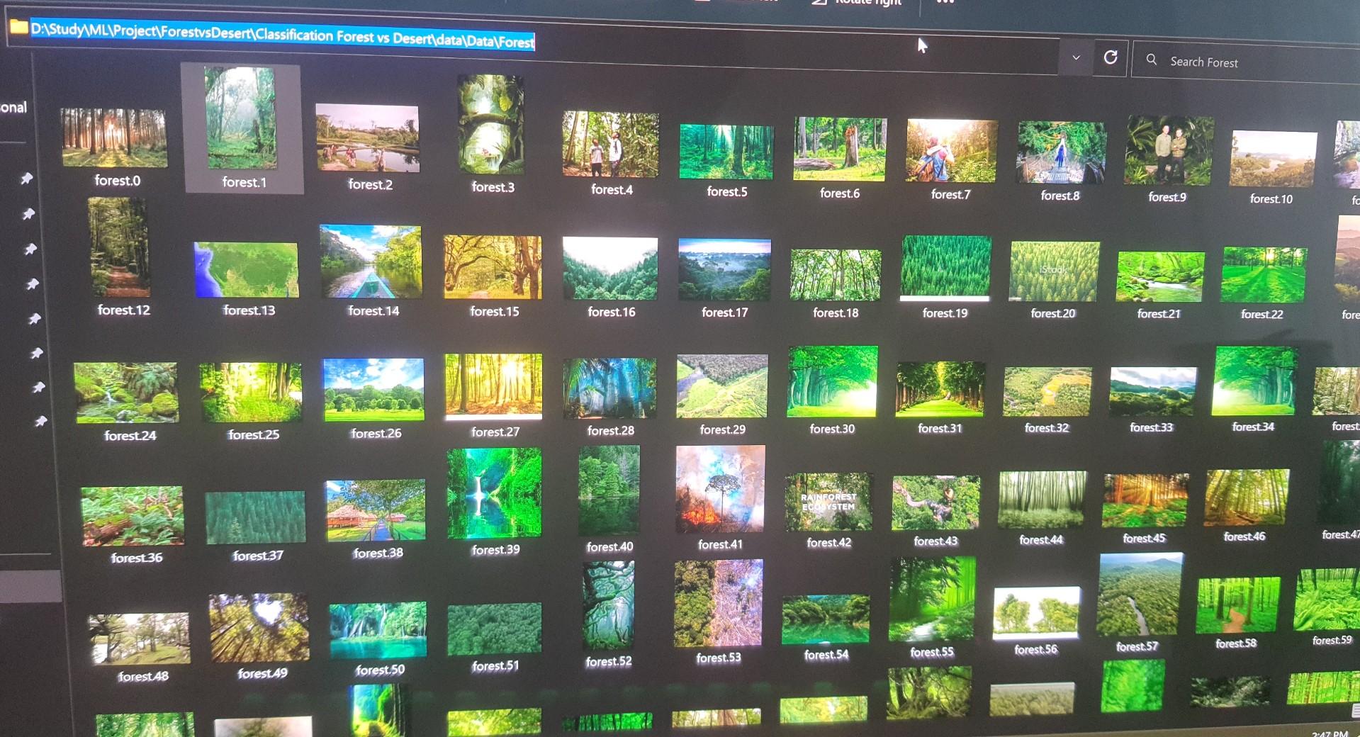 folders, Forest and Desert. Each folder contains 401 high quality annotated JPG