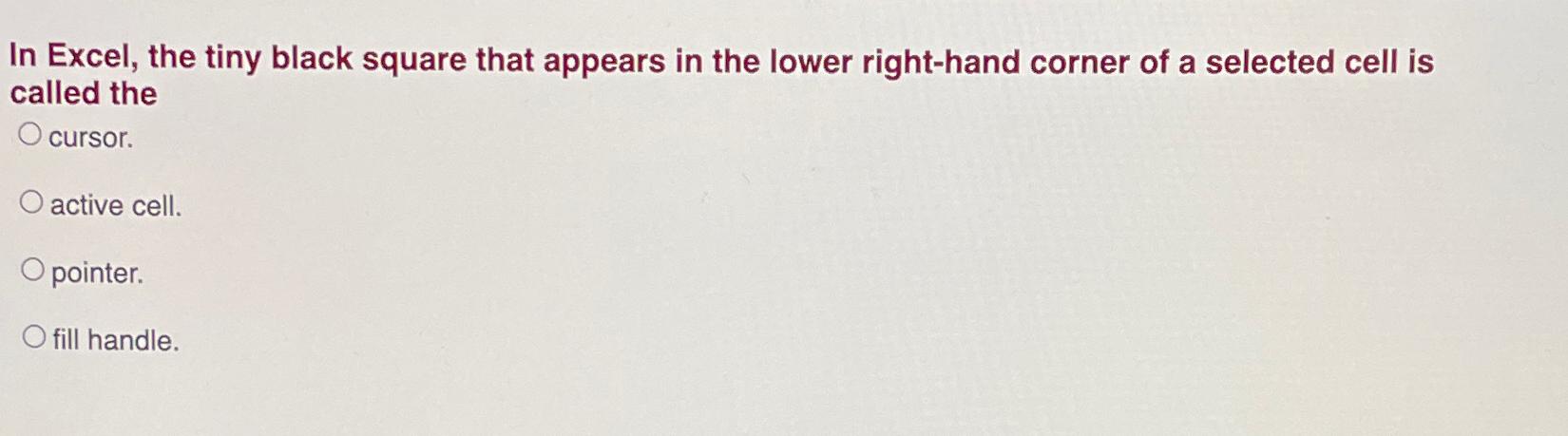  In Excel, the tiny black square that appears in the lower
