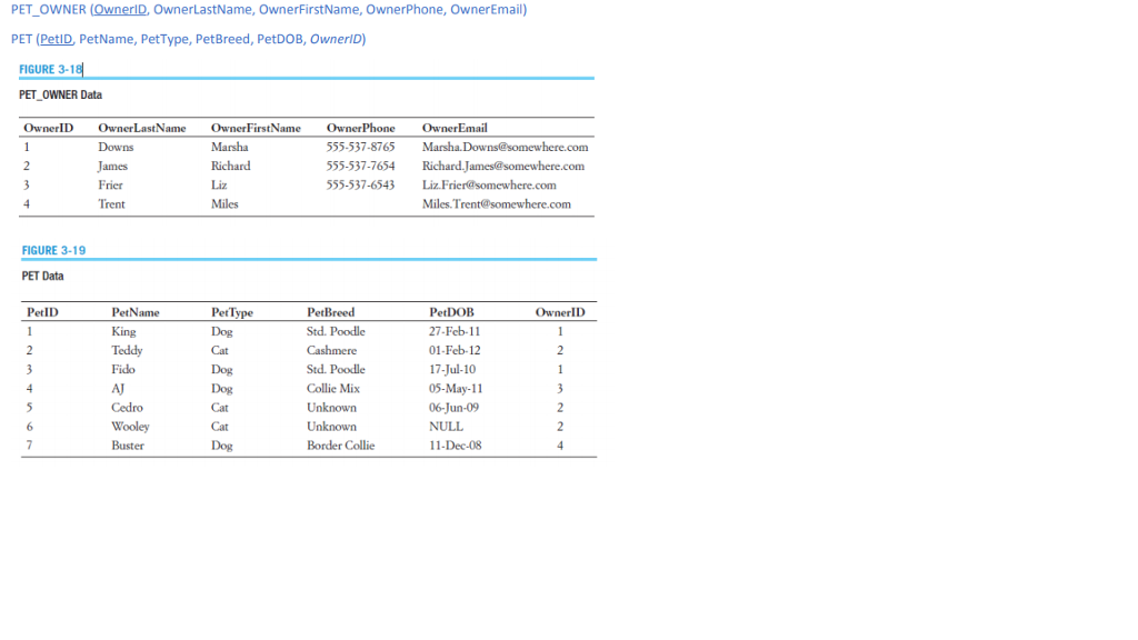 Use the following tables and sample data for your answers to