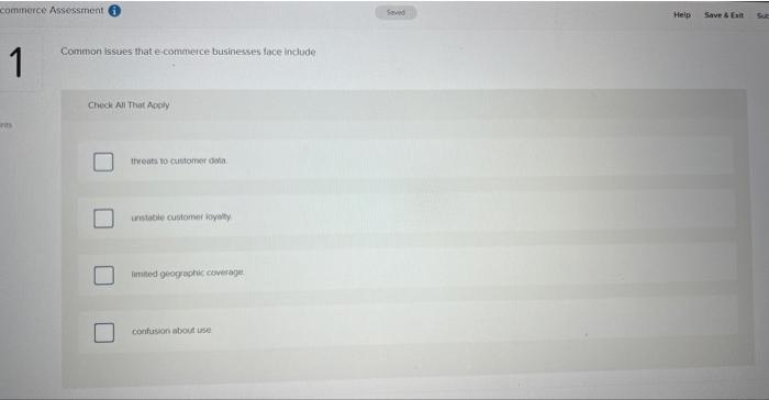  Common issues that e comaseice businesstes lace include Check All Thot