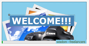 The following C# application was built using C#.net on visual studio. It's