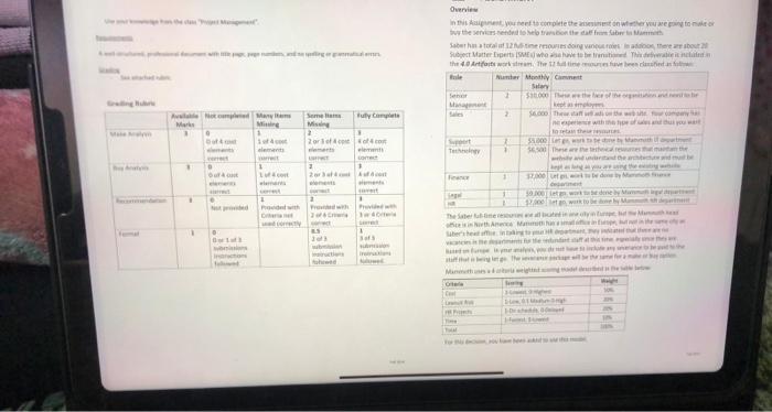 help transition the staff from Saber Company to Mammoth Company The Submission
