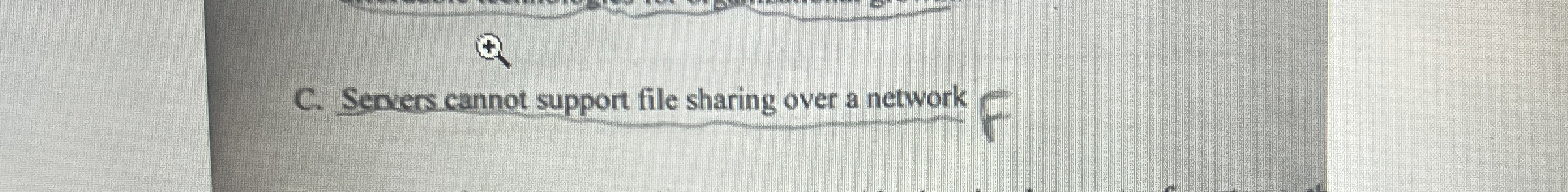  C. Servers cannot support file sharing over a network . True