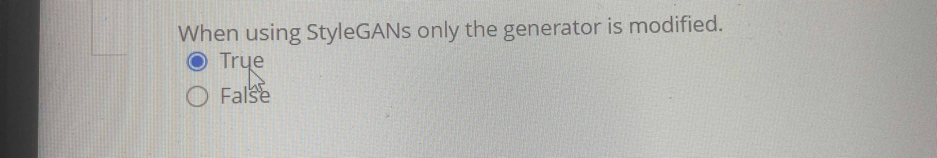  When using StyleGANs only the generator is modified. True False 