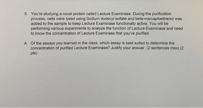  Chat GPT answers will be reported. Al software will be reported.