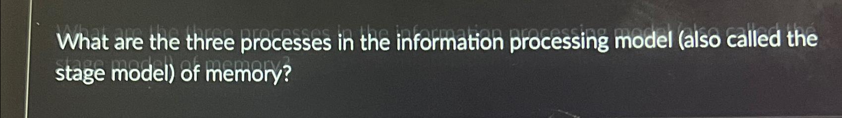  What are the three processes in the information processing model (also
