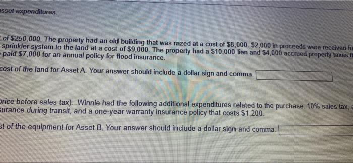 your Asset B: Purchased a machine for $300,000 (price before sales tax).