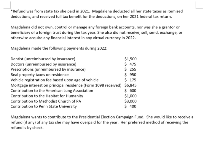 Instructions: Please complete the 2022 federal income tax return for Magdalena Schmitz.