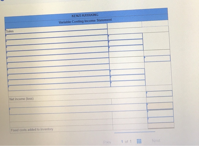 manufacturer of kayaks, began operations this year. During this first year, the