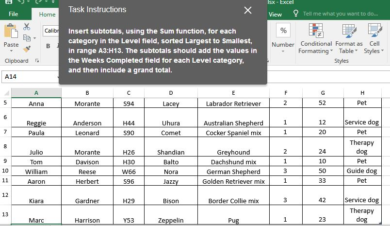 Name Therapy dog Pet 40 4 Starfish Terrier mix Martin Brigitta T50
