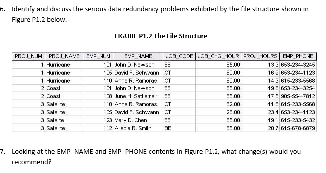 Identify and discuss the serious data redundancy problems exhibited by the