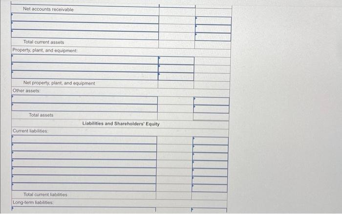 Prepaid expenses include $160,000 paid on December 31, 2024, for two year