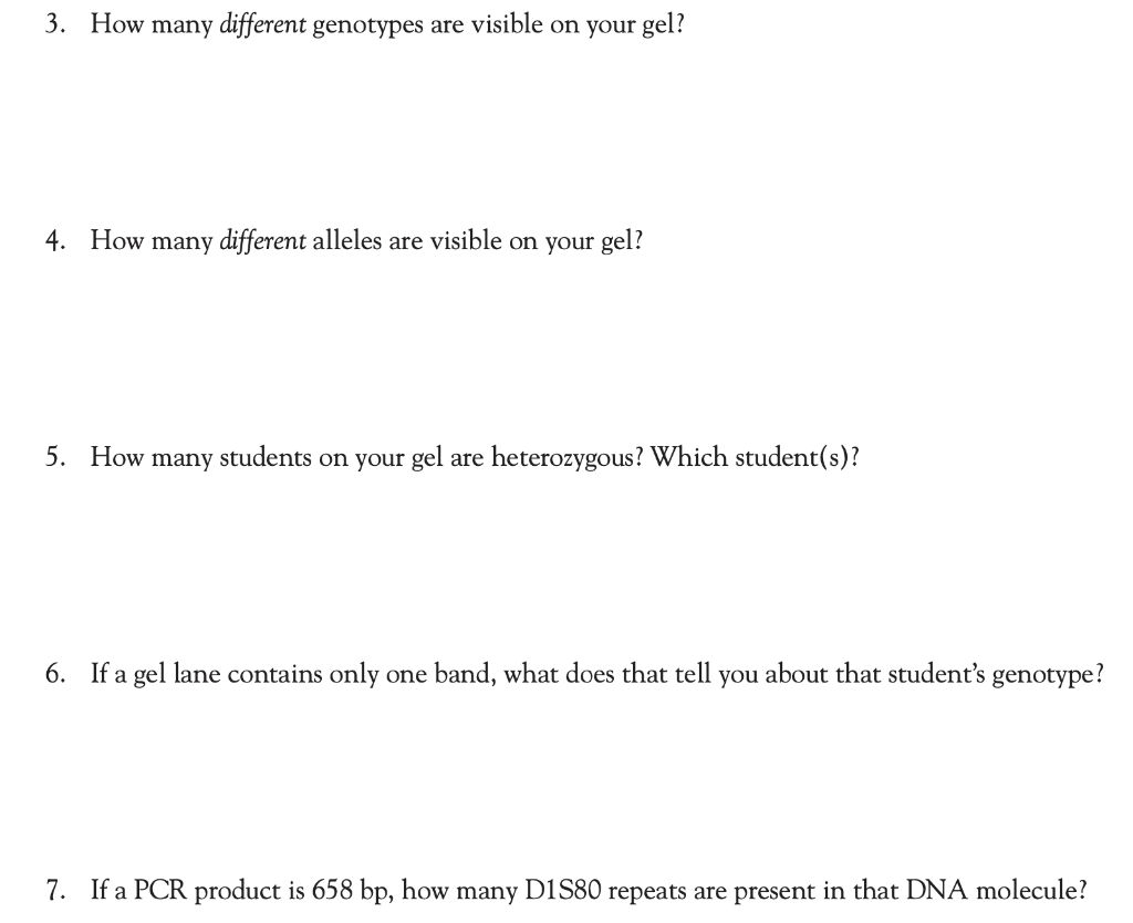 4. How many different alleles are visible on your gel? 5. How