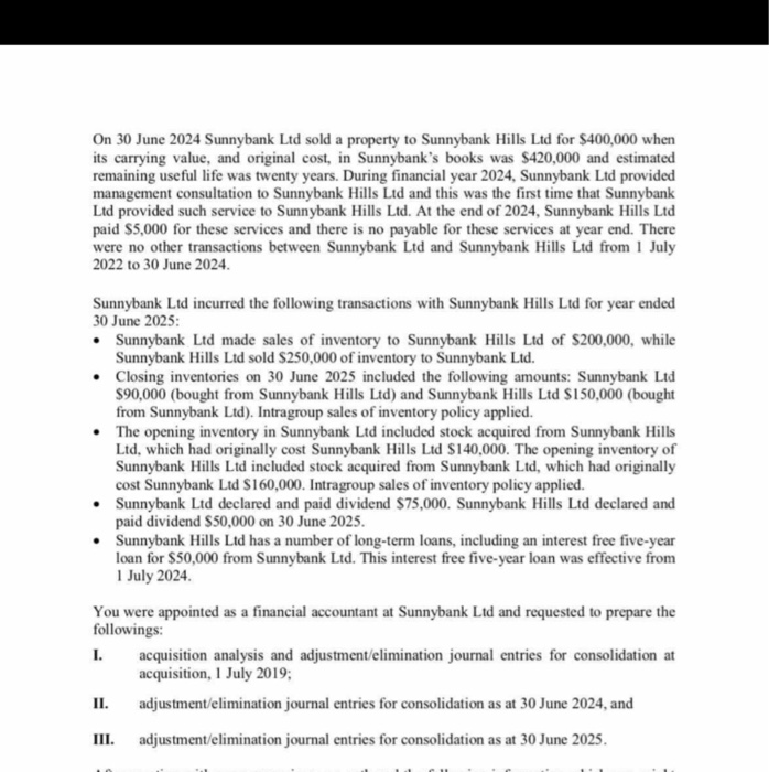 of a selection of consolidation elimination journals for an economic entity comprising