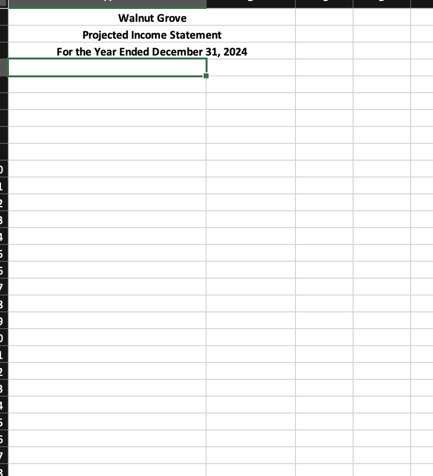 additional information below, prepare the projected (2024) financial statements for Walnut Grove.