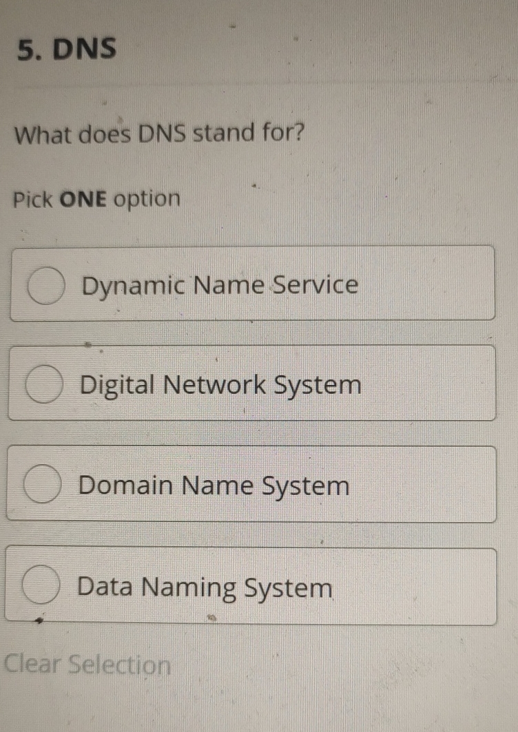  DNS What does DNS stand for? Pick ONE option Dynamic Name