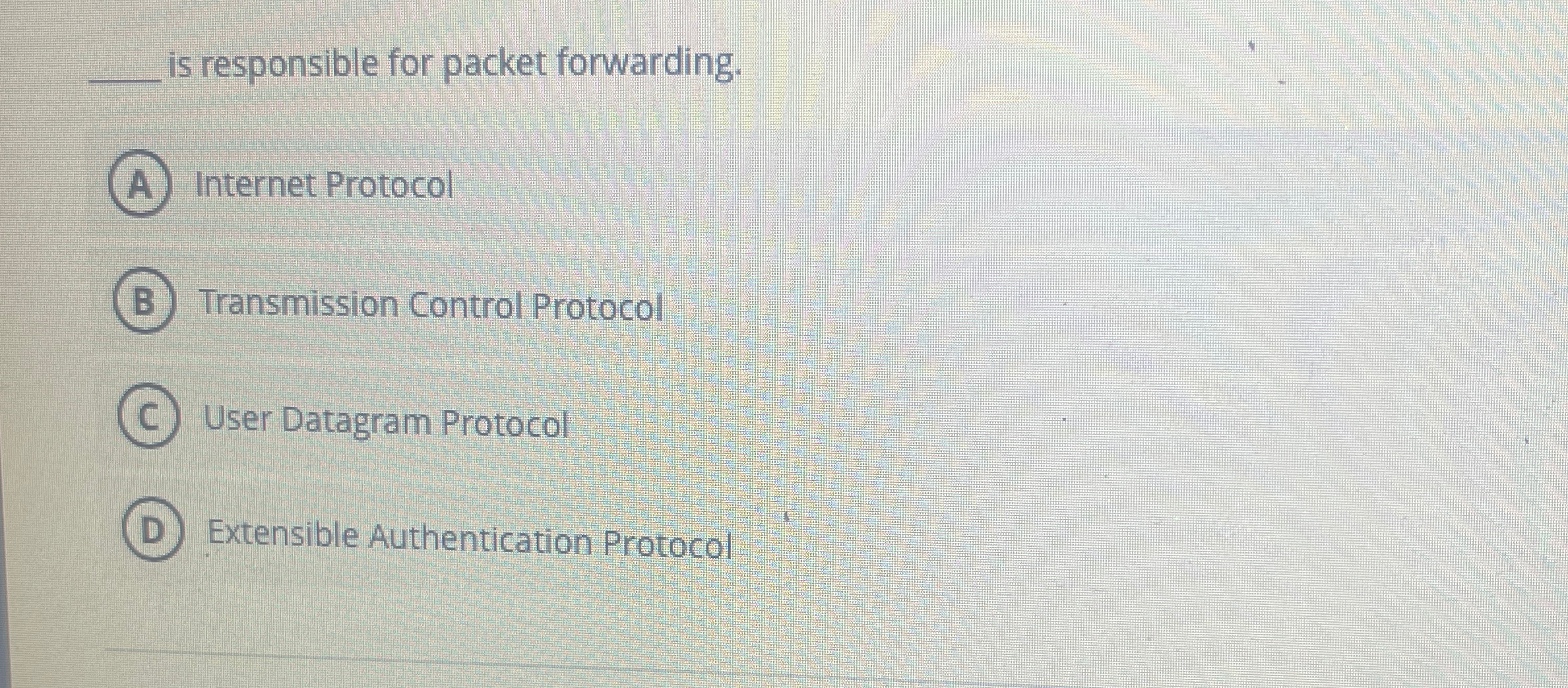  q, is responsible for packet forwarding. Internet Protocol Transmission Control Protocol