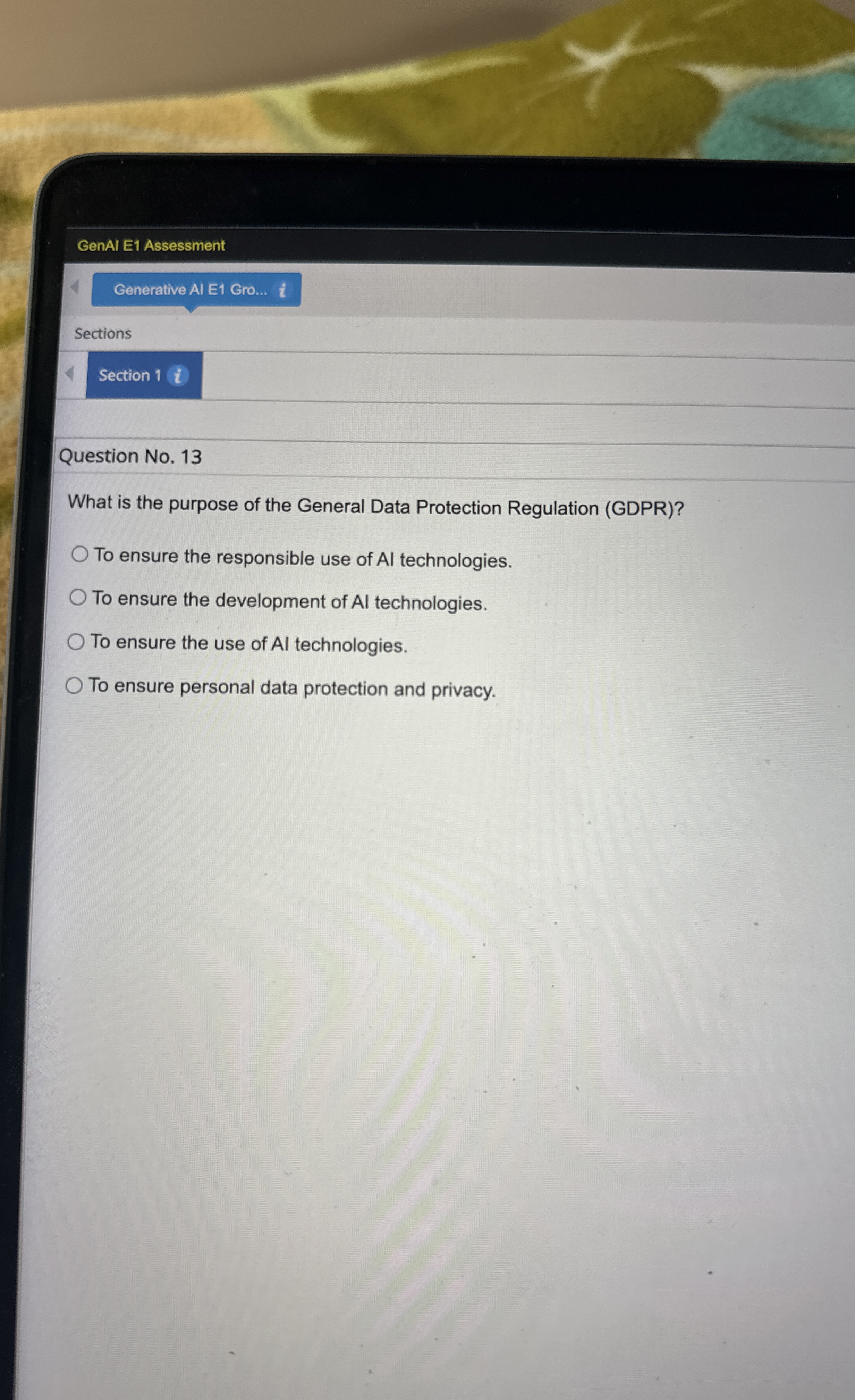  GenAl E1 Assessment Generative Al E1 Gro... i Sections Question No.13