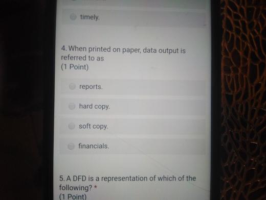  timely 4. When printed on paper, data output is referred to