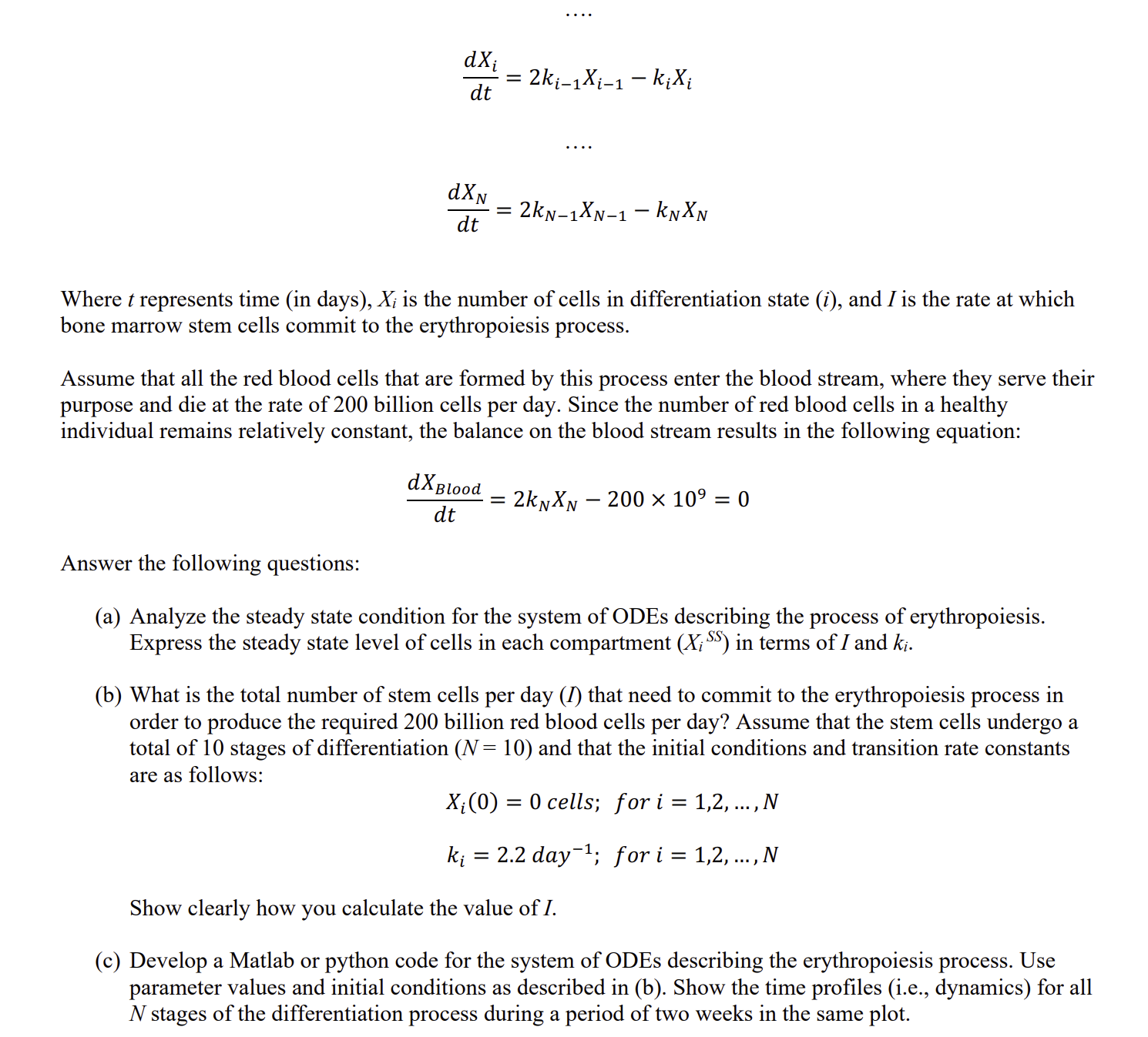  Erythropoiesis is a multi-stage process through which bone marrow stem cells