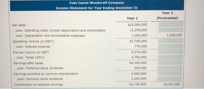 Camel Woodcraft Company's income statement reports data for its first year of