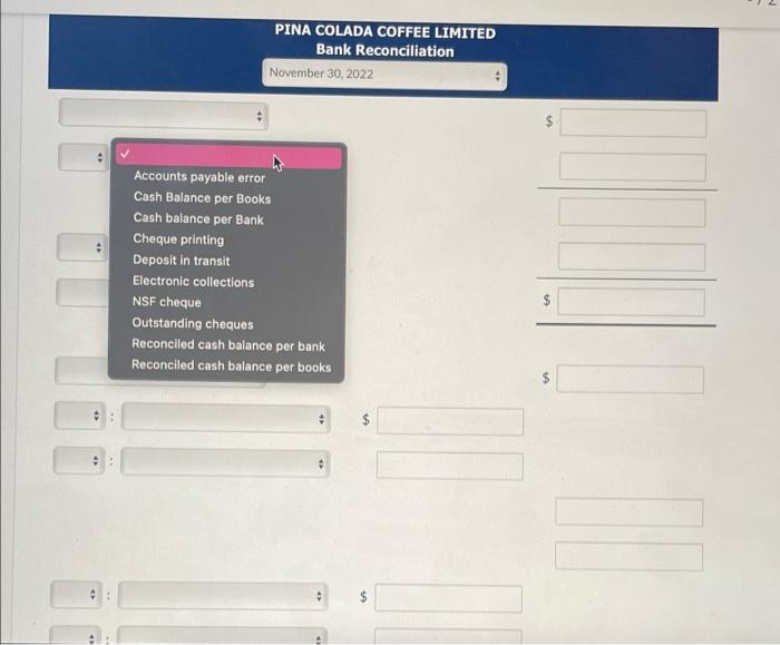 Limited's bank statement for the month of November 2022 showed a balance