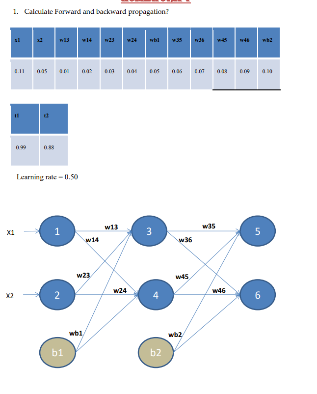 1. Calculate Forward and backward propagation