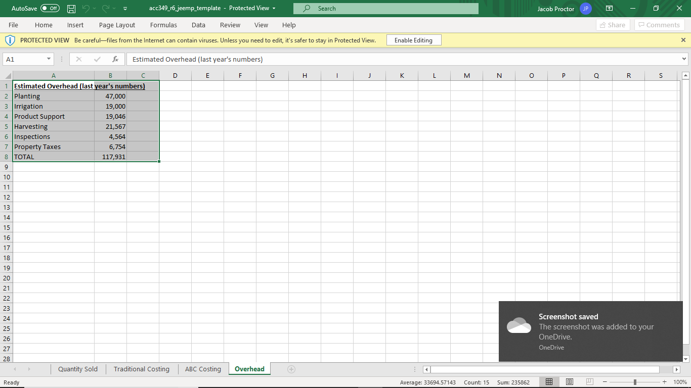 Unless you need to edit, it's safer to stay in Protected View.